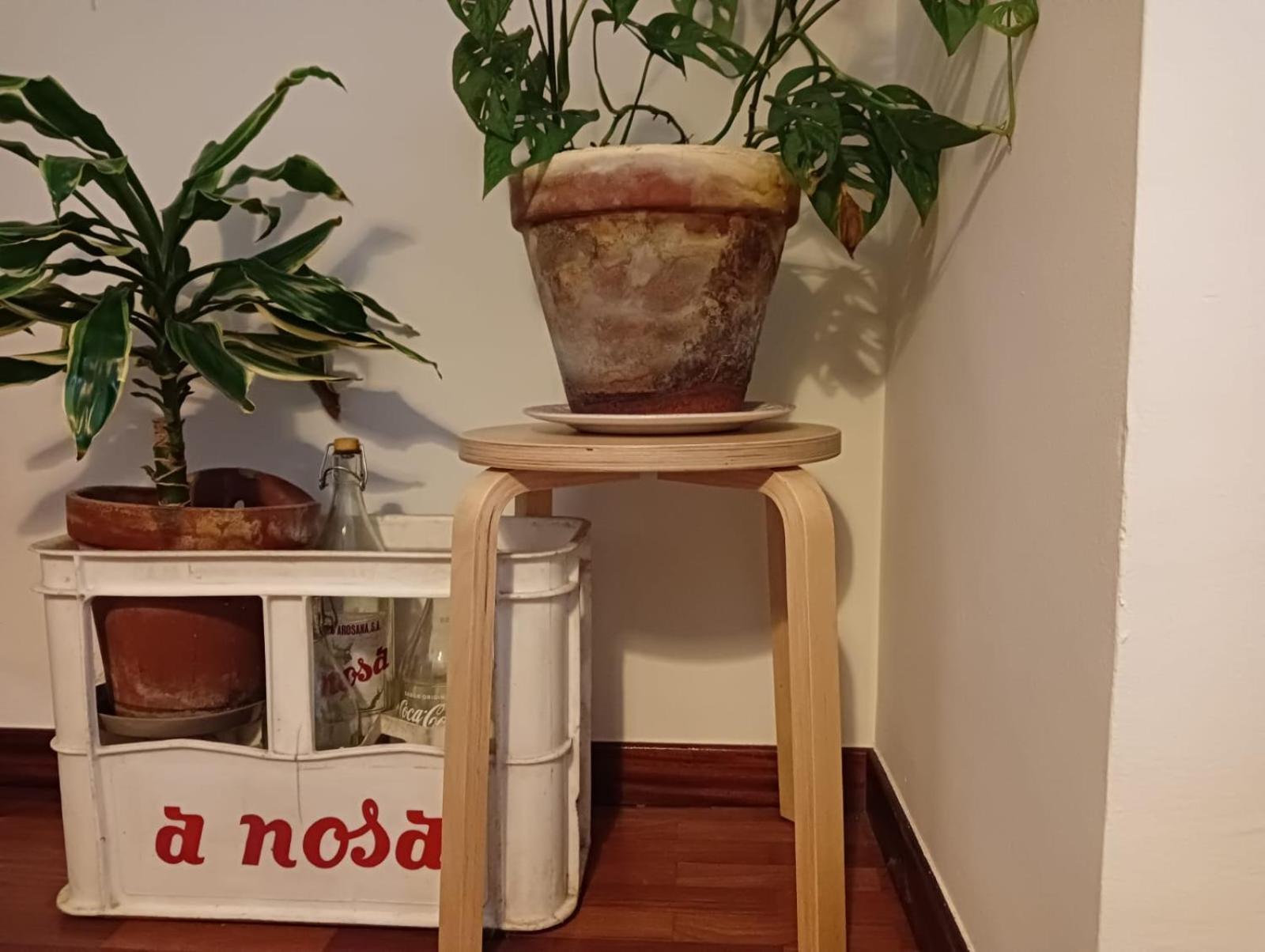 La Maceta Daire Vilagarcia de Arousa Dış mekan fotoğraf
